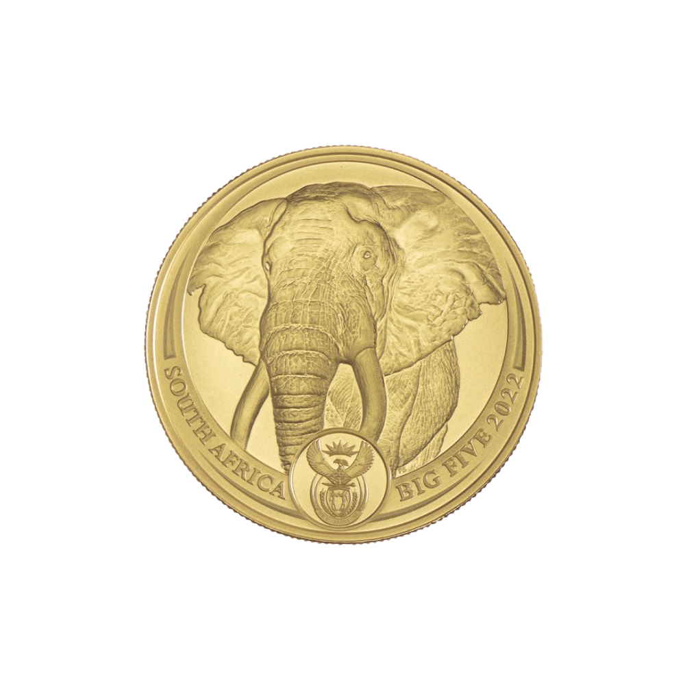 402-auraria-juznoafriski_slon-1_1ozt